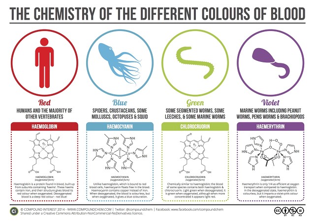 The Chemistry Of The Different Colors Of Blood