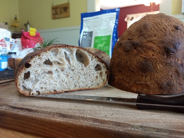 2020-03-23-sourdough1-crumb