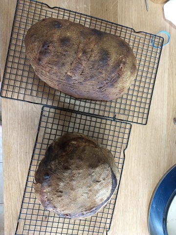 2020-03-23-sourdough1