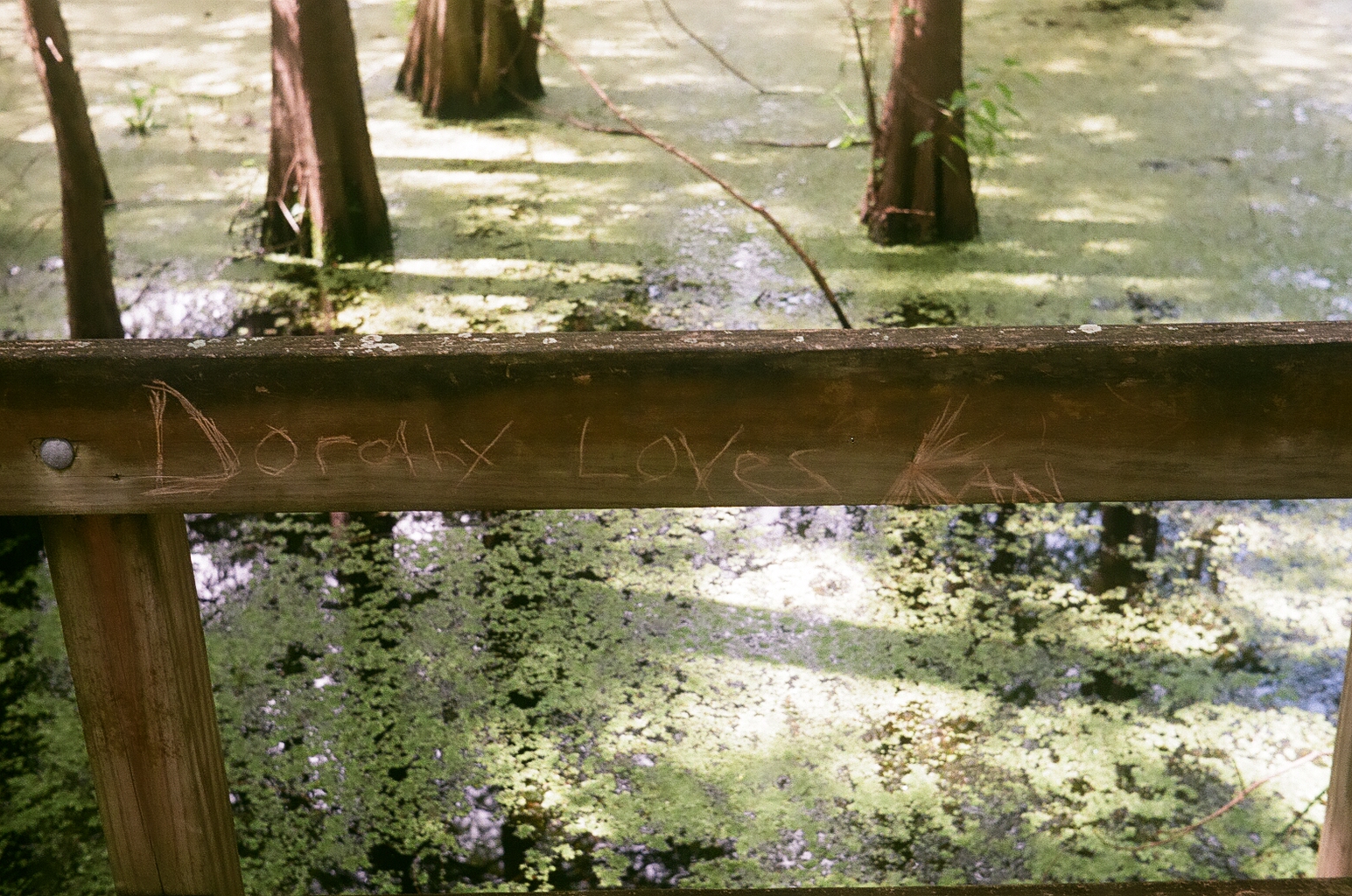 Graffiti scratched on the railing: 'Dorothy Loves Kan'