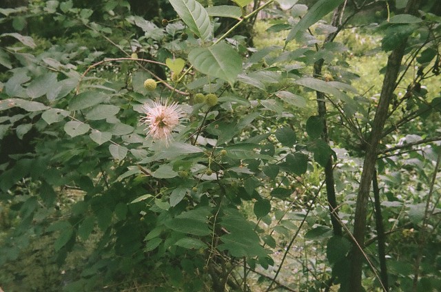 1-08