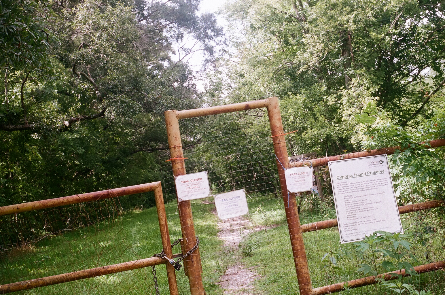 The gate to a trail closed for alligators. Lots of signs are ziptied to the gate saying 'Trail Closed: Warning.'