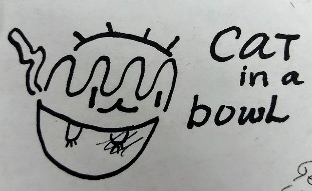 cat in a bowl