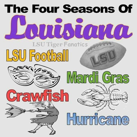 Seasons